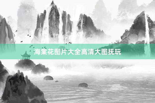 海棠花图片大全高清大图抚玩